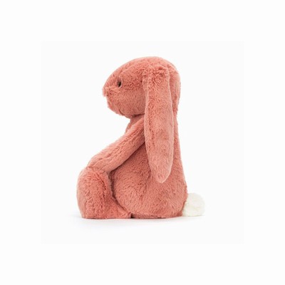 Jellycat Bashful Sorrel Bunnies USA | 30549AZIX